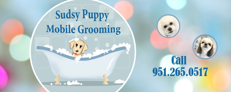 Mobile Pet Grooming Near Sun City Menifee Winchester Wildomar Murrieta And Temecula Shop Available One Hour In And Out Appts